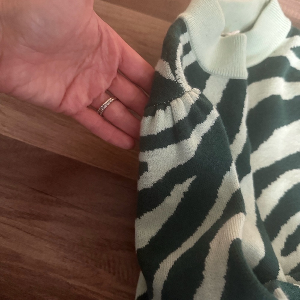 Sugarlips Mint and Dark Green Zebra Sweater - Picture 4 of 6